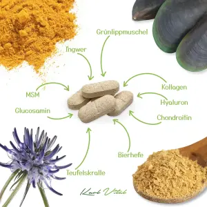 Gelenktabletten für Hunde 1 VE Karl Vital 120...