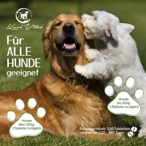Gelenktabletten für Hunde  Karl Vital  2 VE 240 Stück