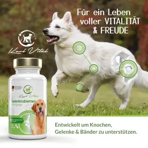 Gelenktabletten für Hunde  Karl Vital  2 VE 240 Stück