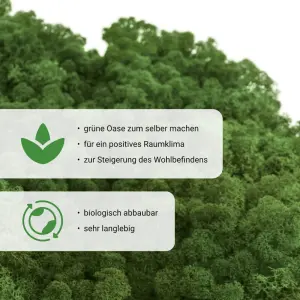 Islandmoos dunkelgrün Moos 40 g