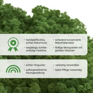 Islandmoos laubgrün Moos 40 g