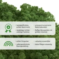 Islandmoos laubgrün Moos 1 KG