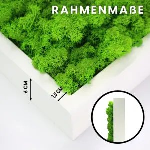 Moosbild mit natürlischem Islandmoos hellgrün im weißen Rahmen 37cm x 37cm