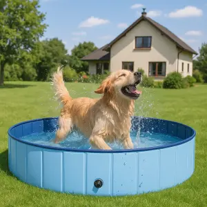 Hunde- & Haustierpool, faltbar 100 x 30 cm